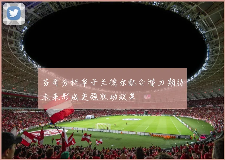 芬奇分析华子兰德尔配合潜力期待未来形成更强联动效果