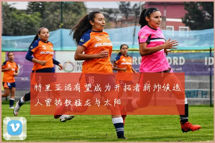 特里亚诺有望成为开拓者新帅候选人曾执教猛龙与太阳