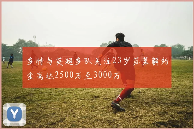 多特与英超多队关注23岁苏莱解约金高达2500万至3000万